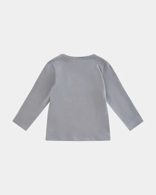 ARIZONASB T-SHIRT LONG SLEEVE - Stone blue